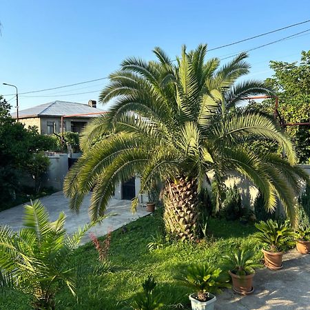 Greenview Guesthouse Batumi Kültér fotó