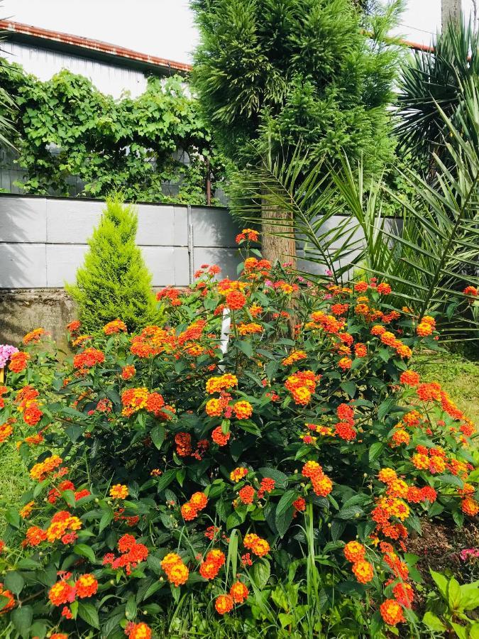 Greenview Guesthouse Batumi Kültér fotó